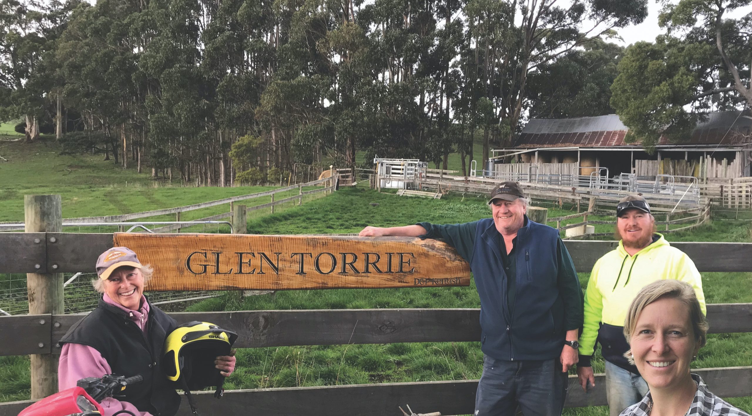 Glen Torrie Pastures