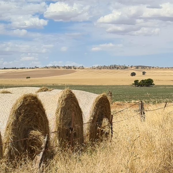 Farmers for Climate Action South Australian Fellowship