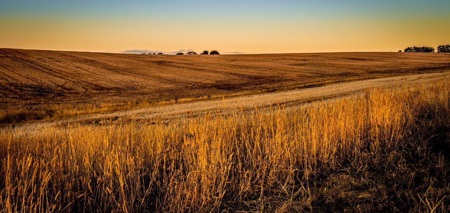 Farmers welcome carbon capture ban recommendations