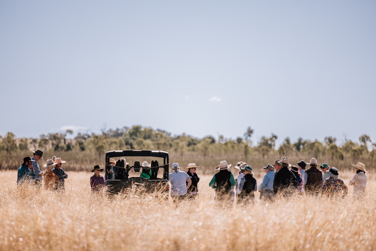 Tassie Cattle & Sustainability Field Day