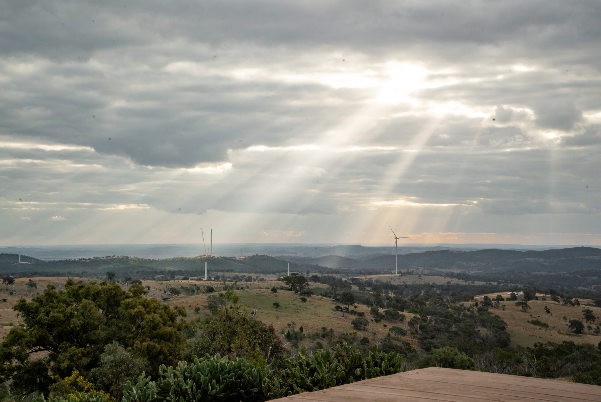 Queensland Government investment in farm biodiversity income welcomed