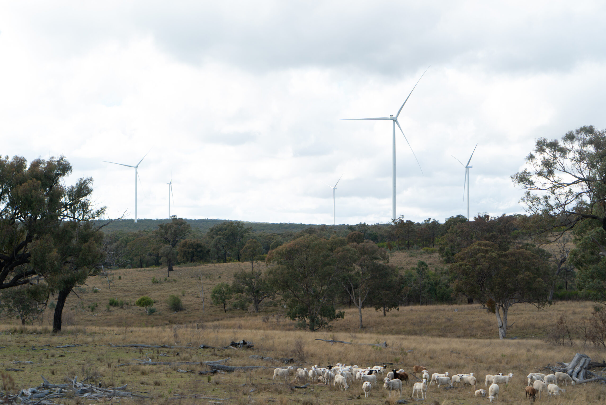 Farmers welcome strengthened Queensland clean energy regulations