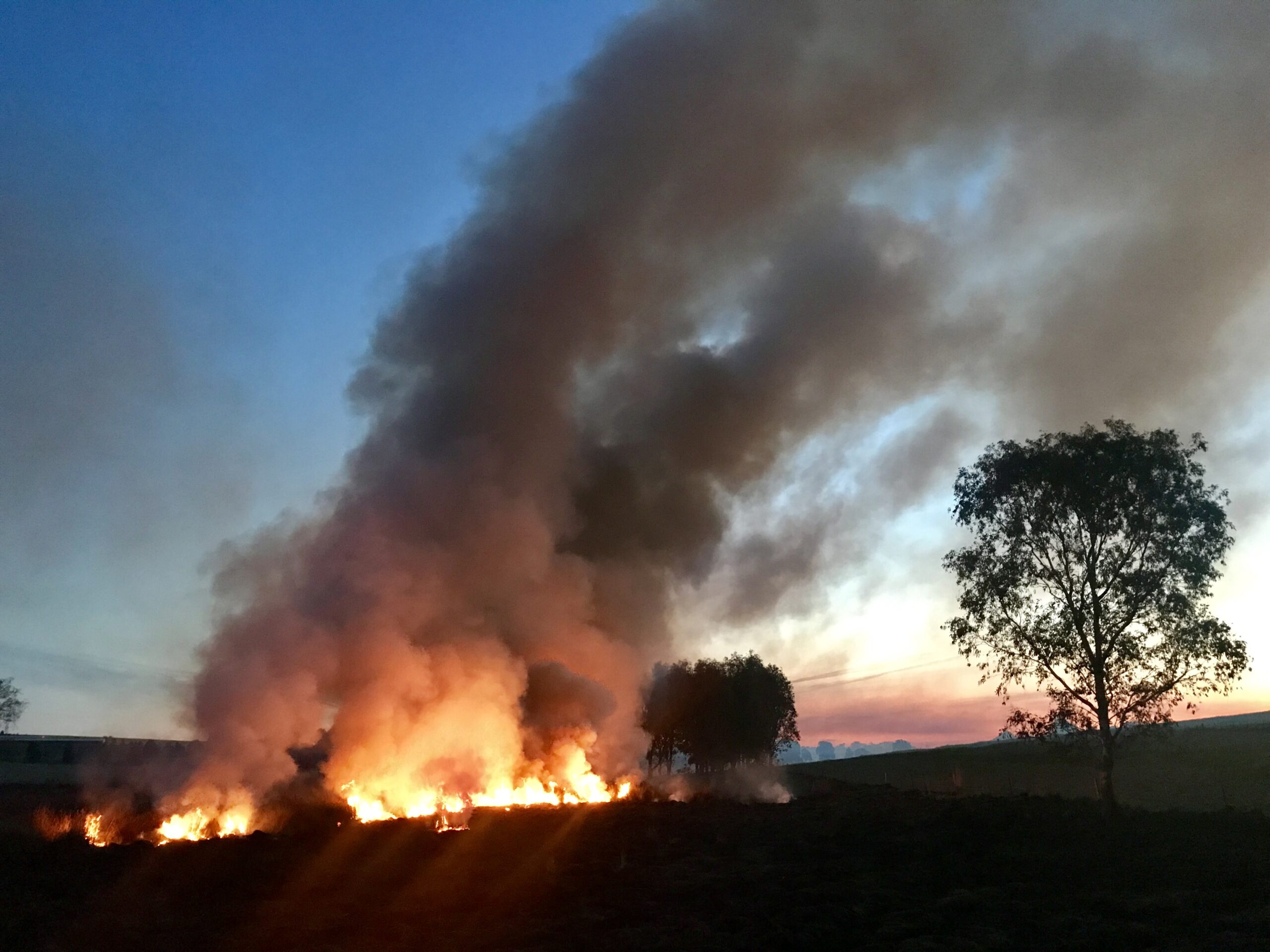 Climate change sends farm insurance ‘through the roof’, driving up price of food for Australian families