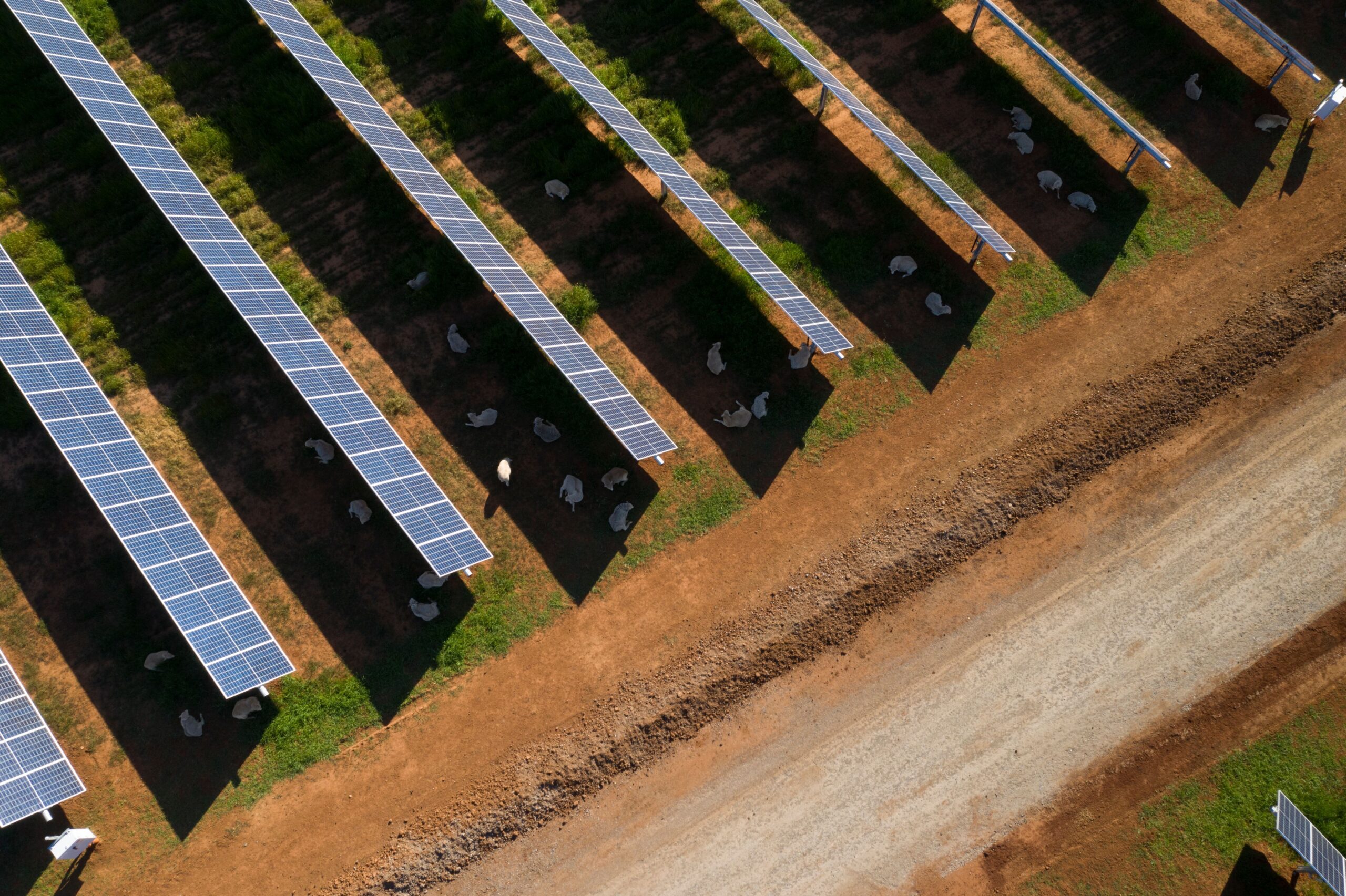 The Quiet Majority: Australians in Renewable Energy Zones support the Energy Shift